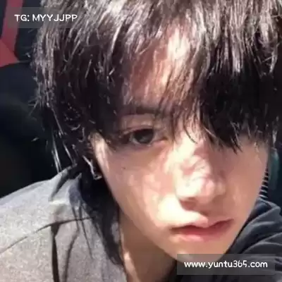 云维燕